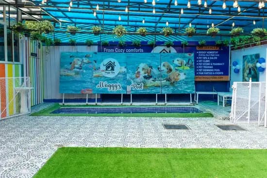 Spacious indoor dog home-stay lounge