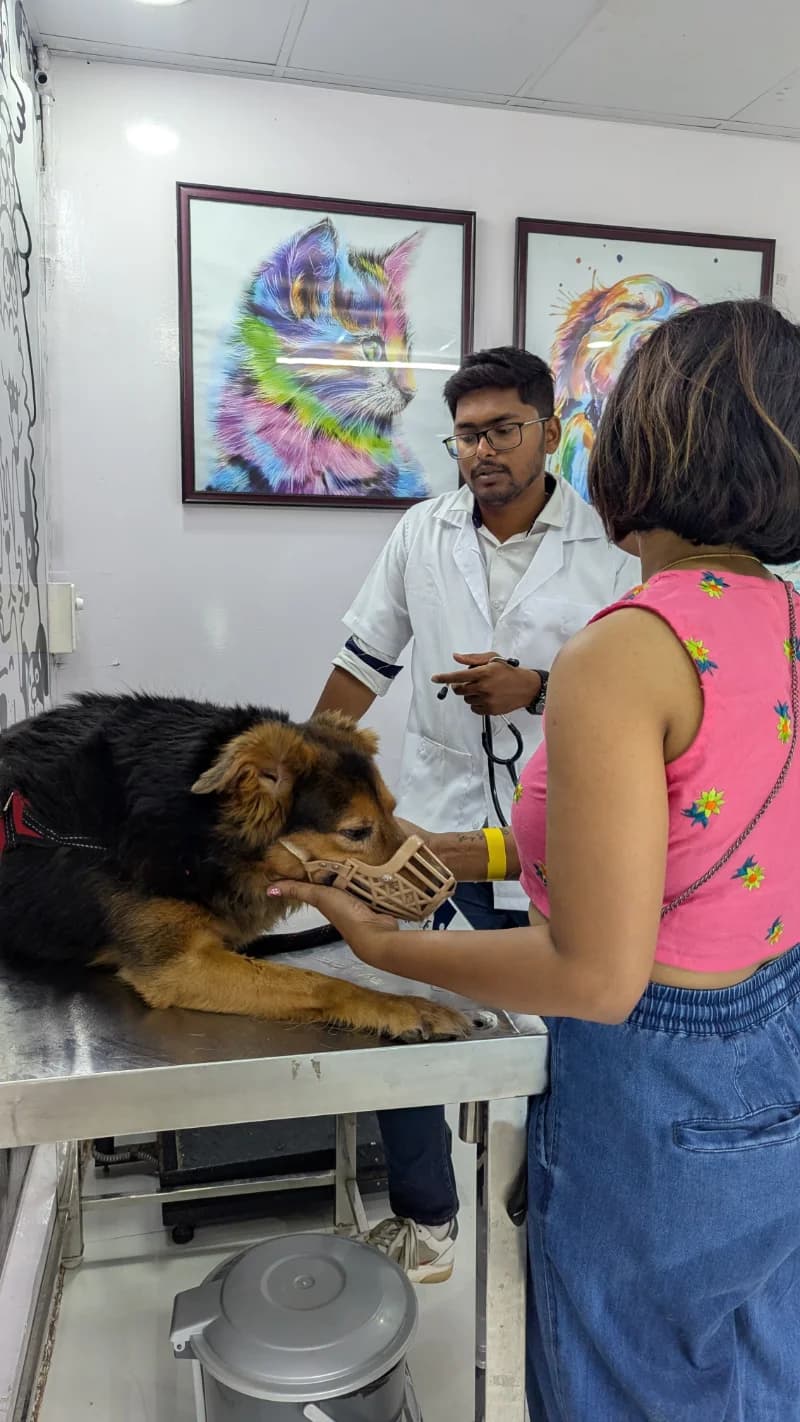 Pet parent and dog consultation moment